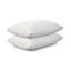Ensemble de coussins Dream Big
