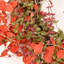 26" Artificial Farmhouse Fall Harvest Twig Blossoms Cluster Greenery Mini Eucalyptus Thanksgiving Day Front Door Wreath