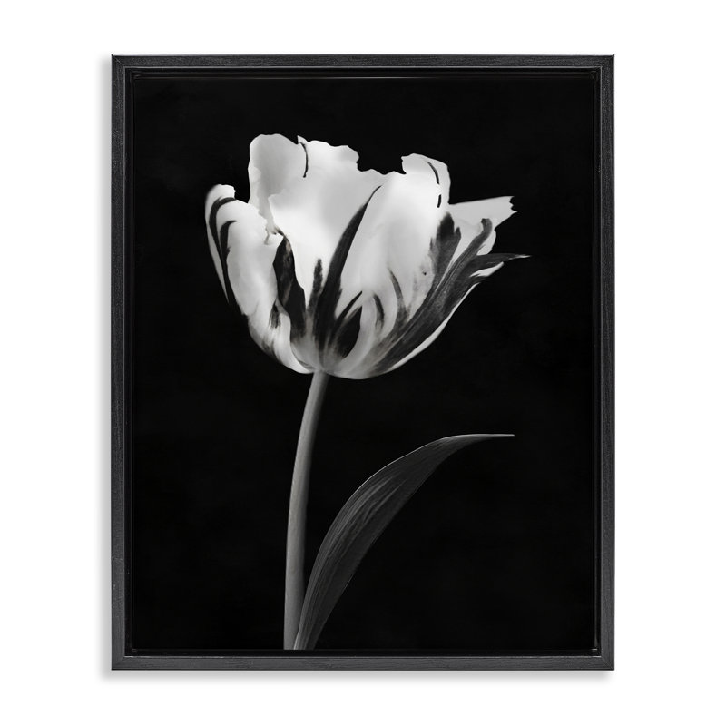 Cadre flottant noir Modern Flower Stark, design par CAD Designs, H 21 po x l 17 po, Cadre flottant noir de jais