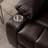 Dual Motor Power Lift Recliner Chair Lay Flat Recliner Fully Reclined in 73.22" Length Extra Wide Lift Chair