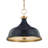 Painted No. 1 Pendant by Mark D. Sikes-914206925