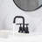 2-handle Bathroom Faucet with Drain Assembly-73457317