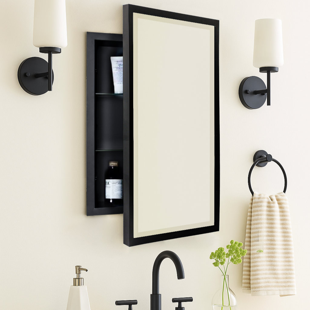 Haddison Recessed Medicine Cabinet, Matte Black, 24" x 16"