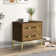 Lienhard 24'' Tall 2 - Drawer Nightstand with Built-In Outlets
