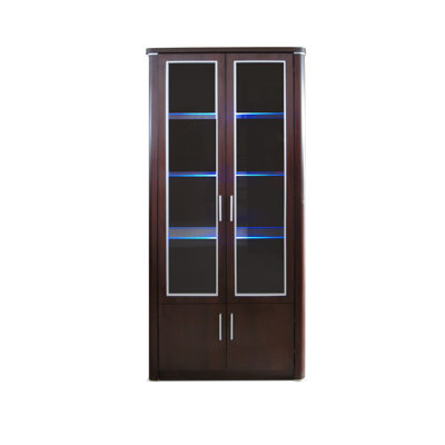LED Bookcase with Doors