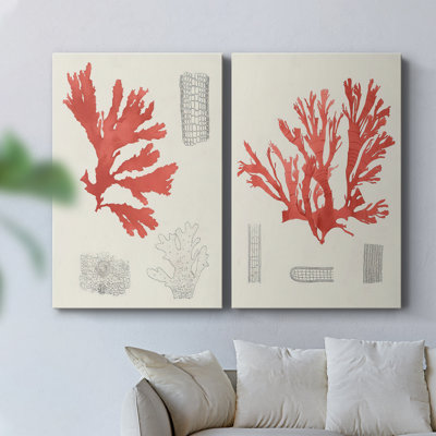 Vintage Coral Study III-Premium Gallery Wrapped Canvas -Ready to Hang