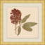 Pressed Flowers 4 Print