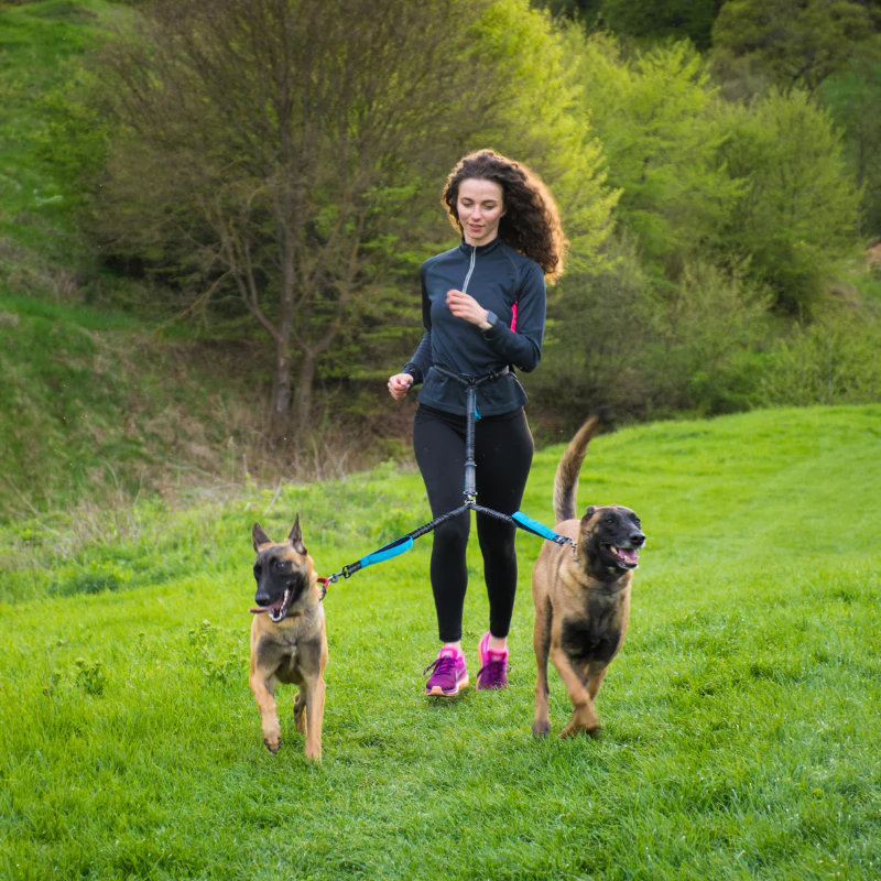 Laisse rétractable pour 2 chiens, laisse mains libres pour deux chiens de taille moyenne et grande