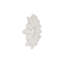 Radial Shell Mirror, White Stone