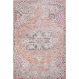 Oriental Indoor Rug