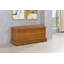 Aamna Blanket Chest-2028901121