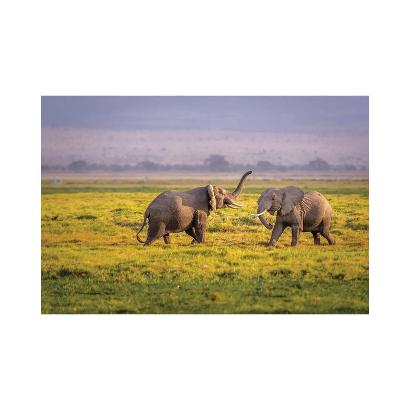 I'll Teach You 1 Piece Wrapped Canvas Wall Art, 20.32 cm H x 30.48 cm W