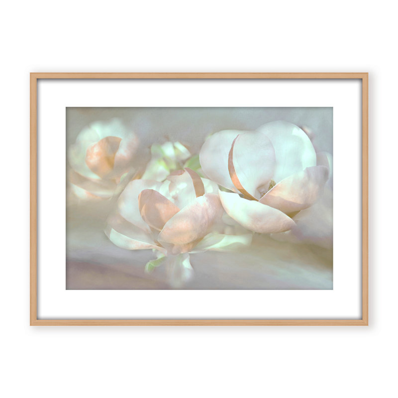 Nature Inspired Magnolia Dreams, 24" H x 30" W x 1.125" D, Framed Matted Print, White