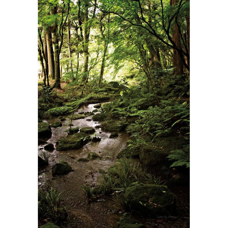 Lush Creek en forêt, H 36 po x l 24 po