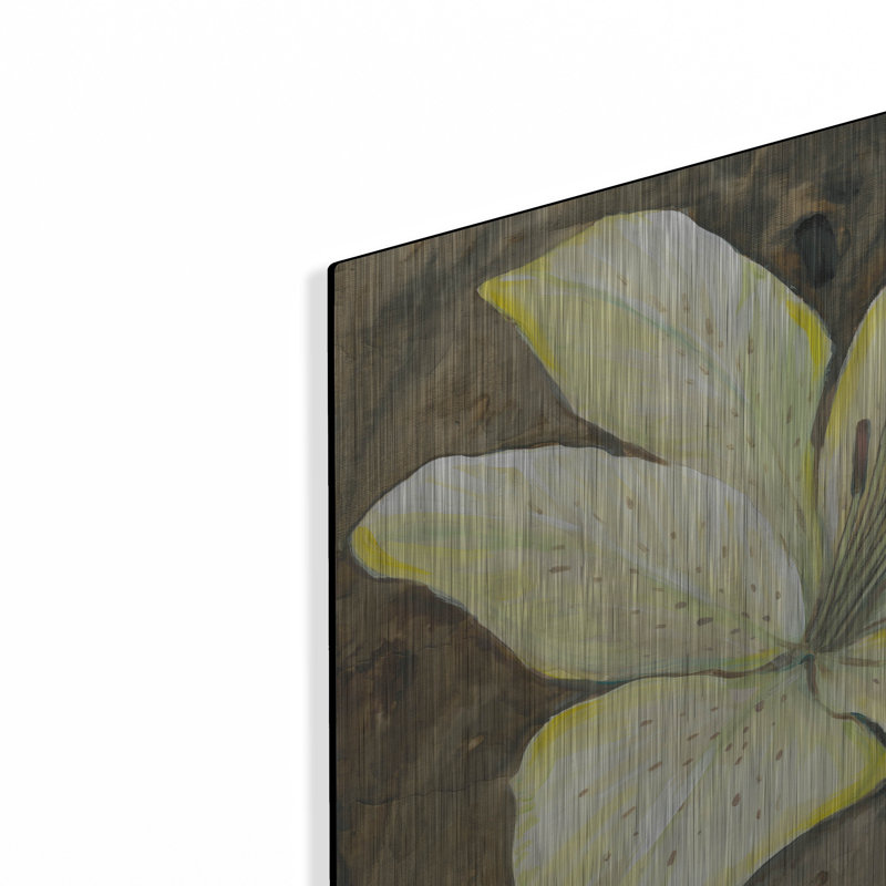 Red Barrel Studio® «Neutral Lily I» par Tim O'Toole, art mural en métal, H 12 po x l 16 po