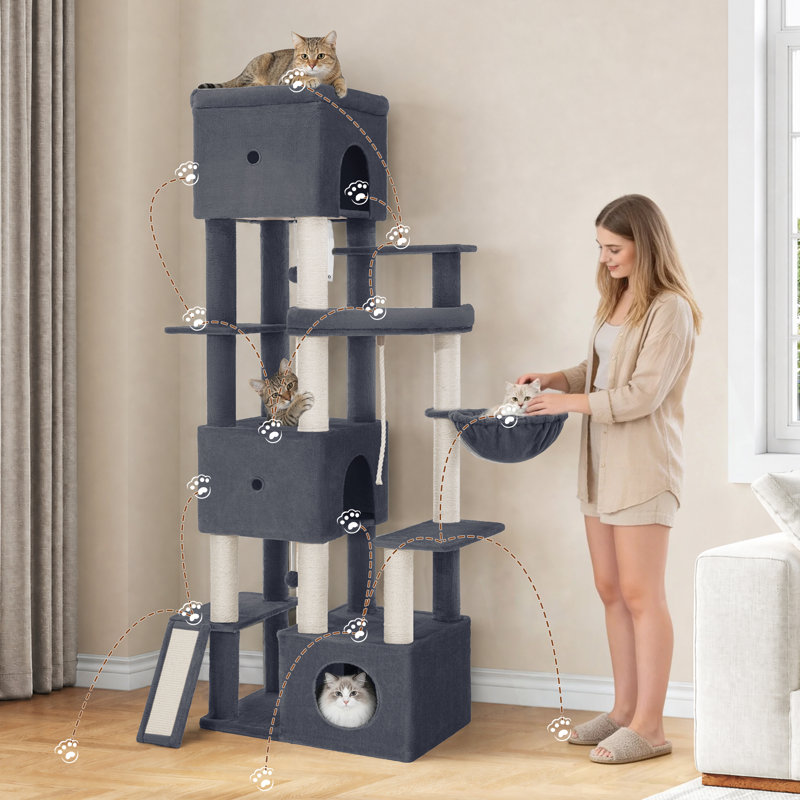 200 cm H Cat Tree / Condo, Dark Grey