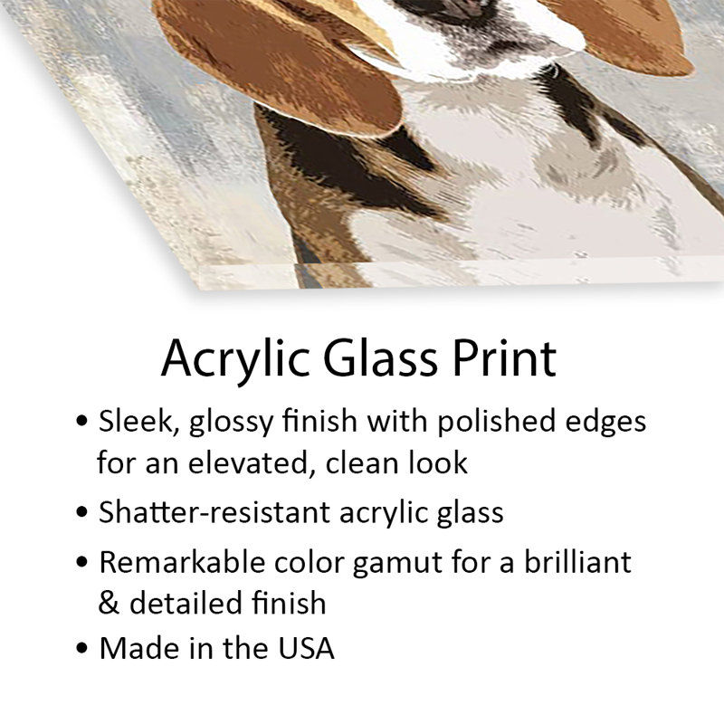 Beagle imprimé sur verre acrylique, H 24 po x l 24 po x P 0,25 po