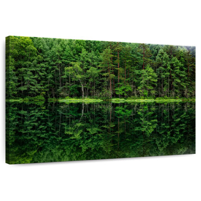 Harnek, reflet de la forêt verte