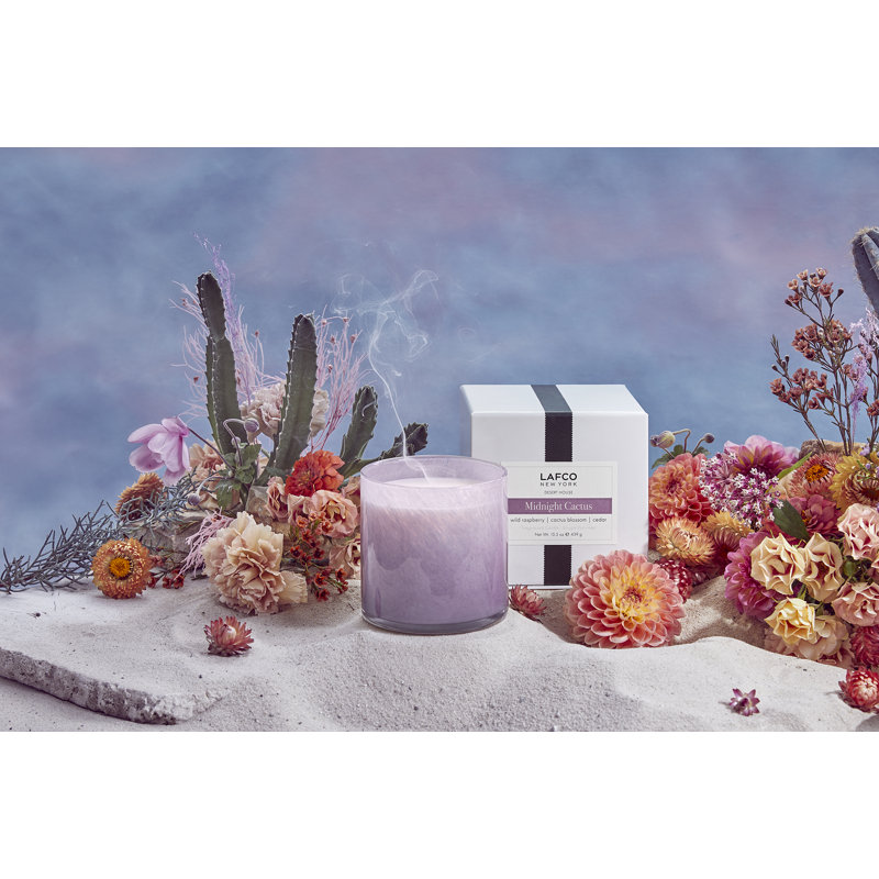 Midnight Cactus Classic Candle, 6.5 oz Jar