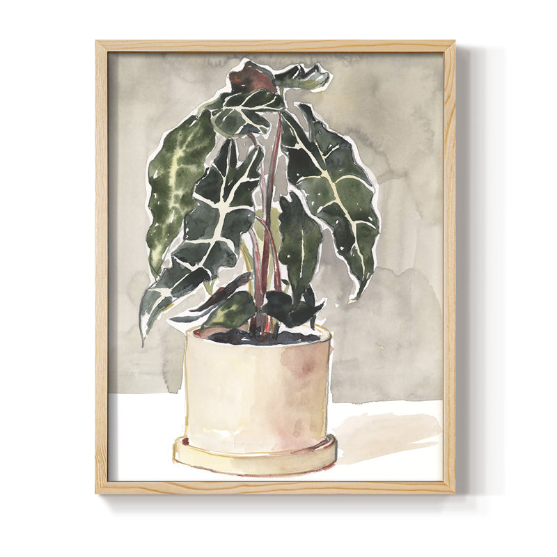 Reproduction encadrée de plante d'intérieur en pot I - bois massif, H 11 po x l 9 po