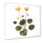 Bouquet rétro avec fleurs sauvages et herbes V - reproduction d'art sur toile traditionnelle-66817392-66817401