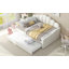 Full Size Upholstery Daybed Frame With Shall Shaped Backrest  And Trundle-923260834