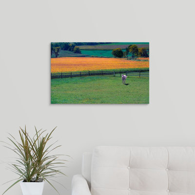 " Amish Country " by Steven Maxx