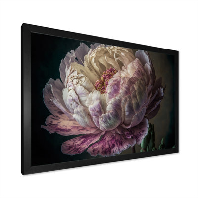 Blossoming Pink And White Peony II " Blossoming Pink And White Peony II "