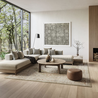 Millyr Washable Oriental Rug