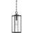 Westover 1-Light Earth Black Mini Pendant Light
