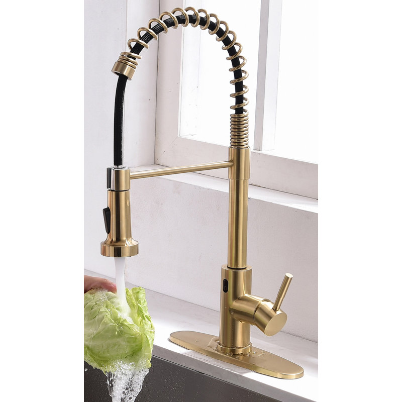HHK HOME Pull Down Kitchen Faucet, Brushed Gold