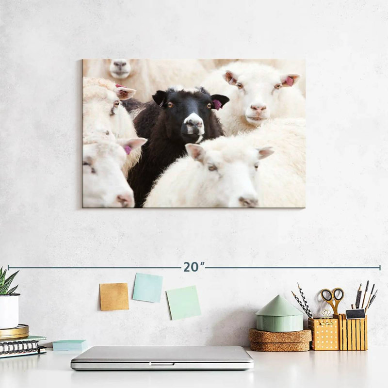 Brampt Standout Black Sheep, 8" H x 12" W