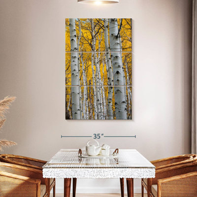 Alvord Aspen Forest Trunks