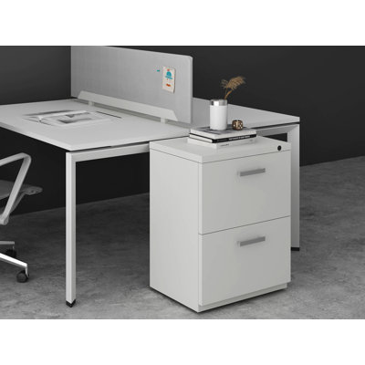 My-Hite Metal Vertical Filing Cabinet with 2 Drawers, 4 Casters, Interlock System