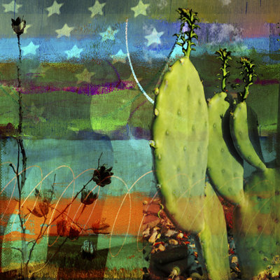 Cactus And Flag Collage by Sisa Jasper - Wrapped Canvas Print