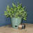 Bamboo Blooms Self-Watering 3-Piece Planter Set – 10, 7 & 5 inch Round Assorted Colors & Designs