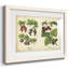 Cuisine fruits III-285017809-285017812