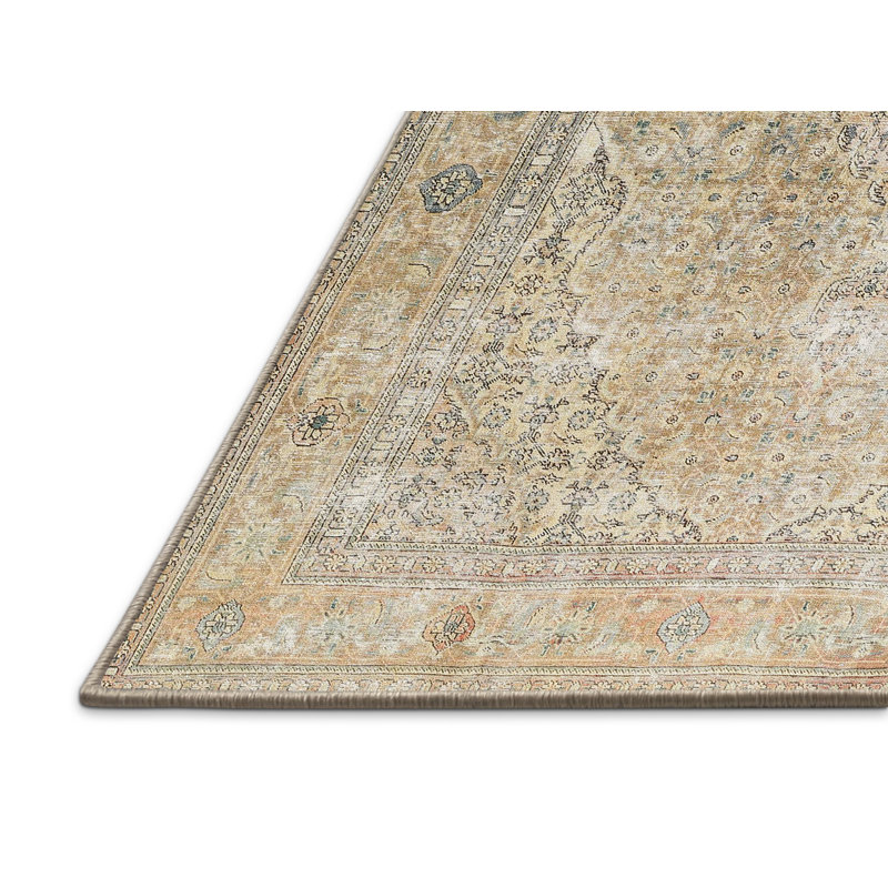 Oriental Indoor Rug, Rectangle 6' x 9'