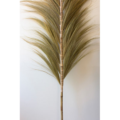  Decorative Fan Palms with Bamboo Stems 75"H – Natural Dried Fronds Set of Six
