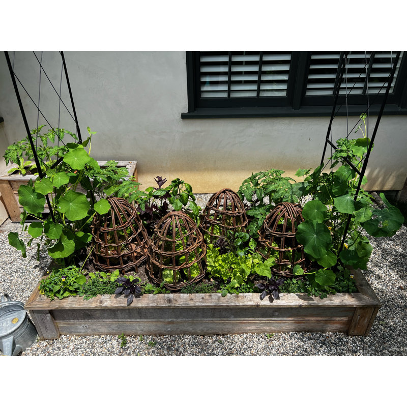 Protecteur de cloche pour saule 22 "h, 18" H x 16" W x 16" D