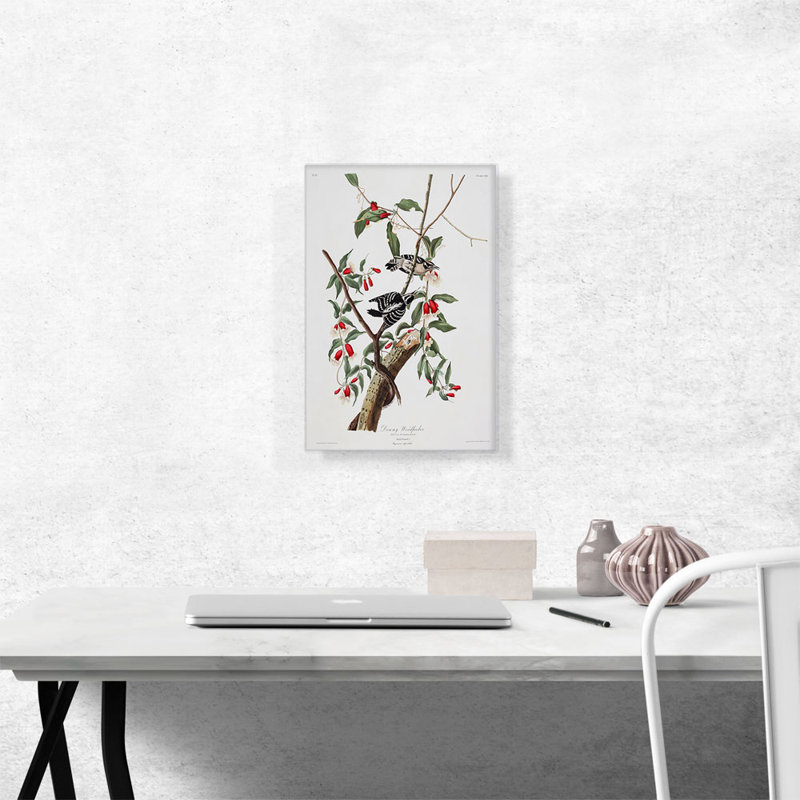 «Downy Woodpecker» par James Audubon, reproduction d'art sur toile tendue, H 18 po x l 12 po x 1,5 po