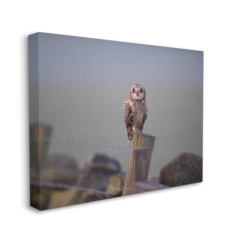 Intensely Gazing Owl Perché, Toile tendue, H 30 po x l 40 po x P 1,5 po