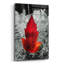 «Red Leaf» par Dante Plata, art mural en verre acrylique-1818736193