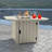 Strella 24'' H x 40'' W Polyresin Propane Outdoor Fire Pit Table with Lid-488052122