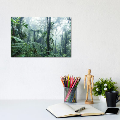 Monteverde Cloud Forest, Costa Rica by Matteo Colombo - Wrapped Canvas Print