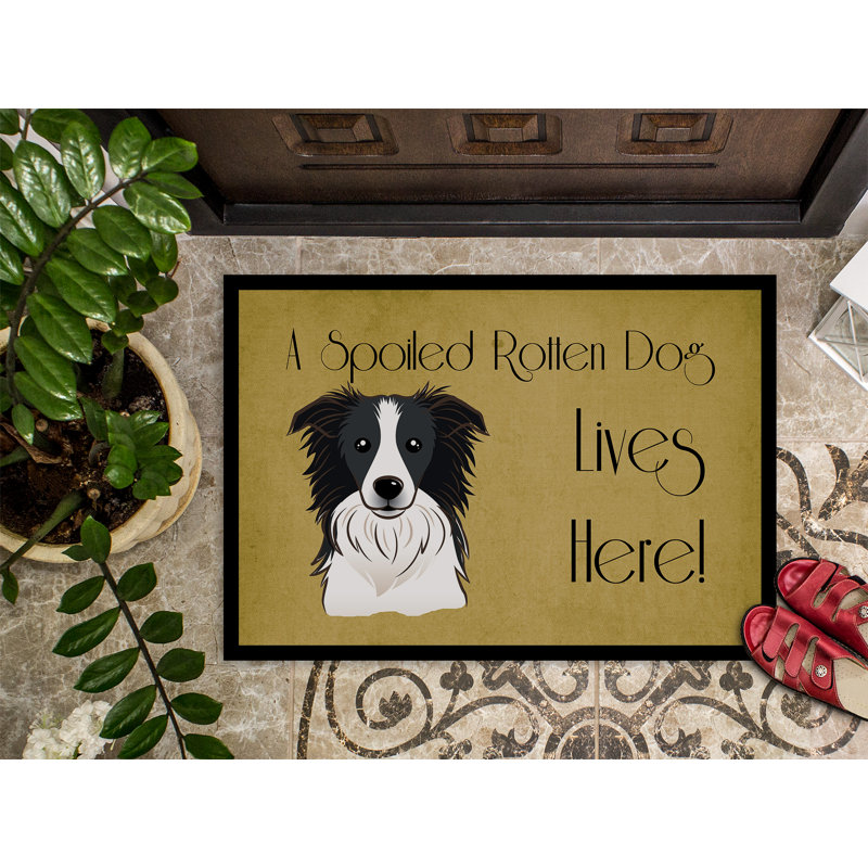 Tapis d'extérieur antidérapant Volga Border Collie, Rectangle 2 pi x 3 pi