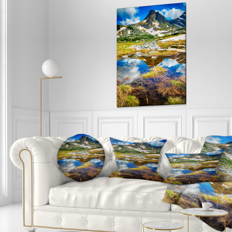 Throw Pillow