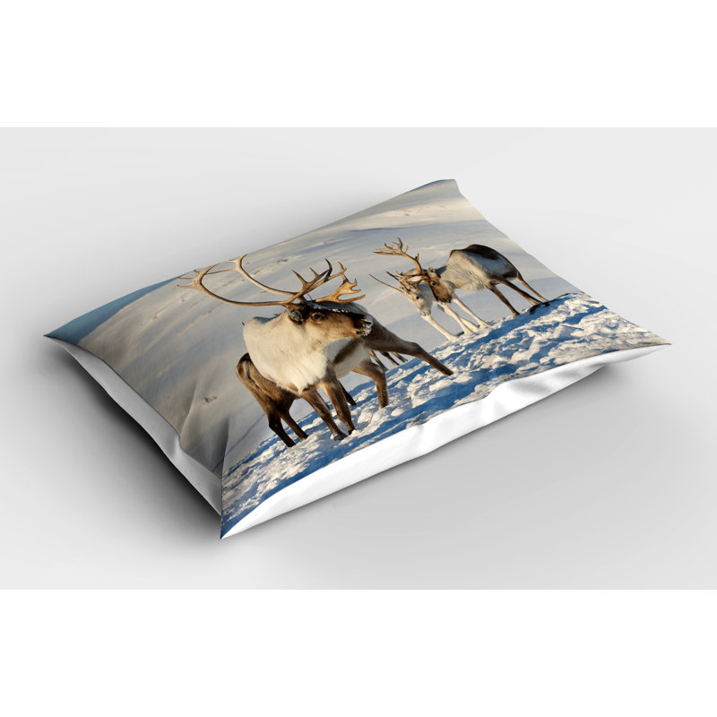 Ensemble de 2 taies décoratives Ambesonne Winter Brown Reindeers, H 20 po x l 30 po