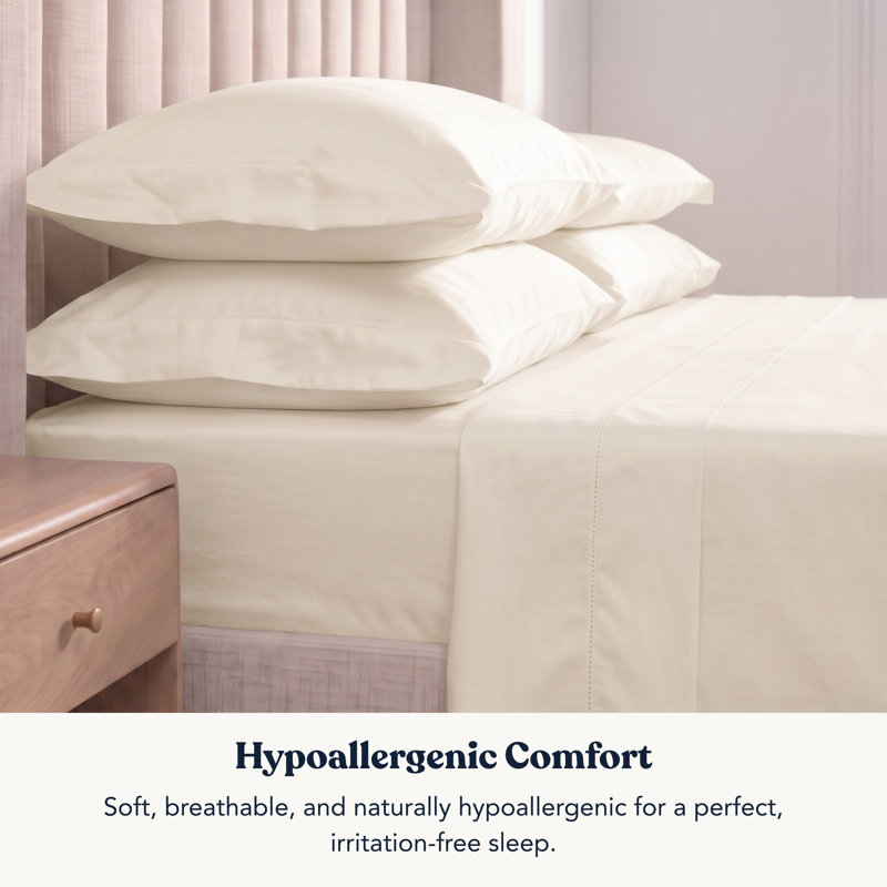 Drap-housse en satin de coton 100% biologique Delara GOTS, Drap plat de taille très grand, Ivoire