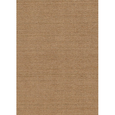 Engin Chevron Indoor Rug